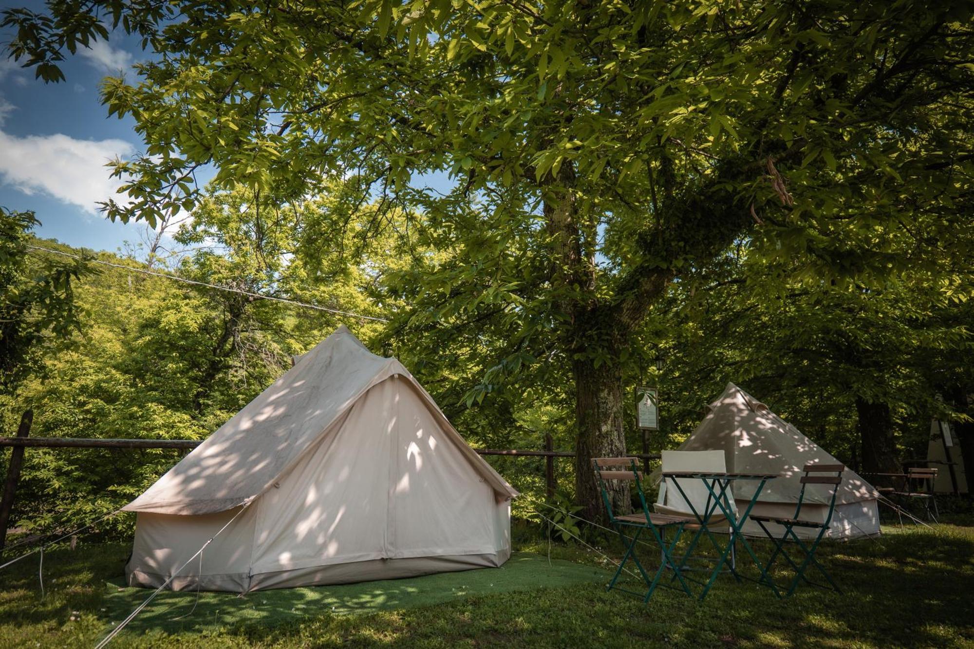 Camping Grondola - Federicofarm Pontremoli Eksteriør billede