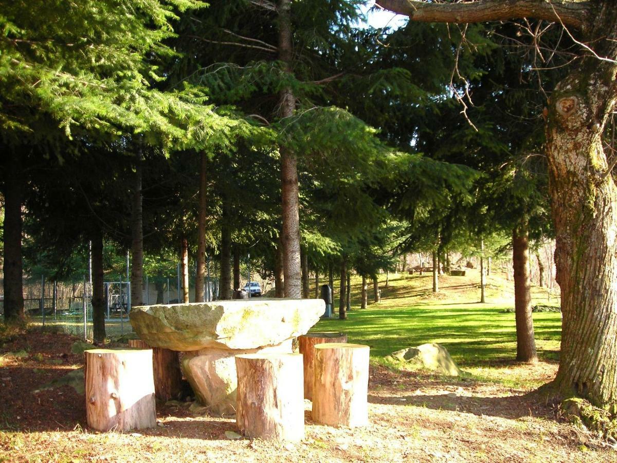 Camping Grondola - Federicofarm Pontremoli Værelse billede